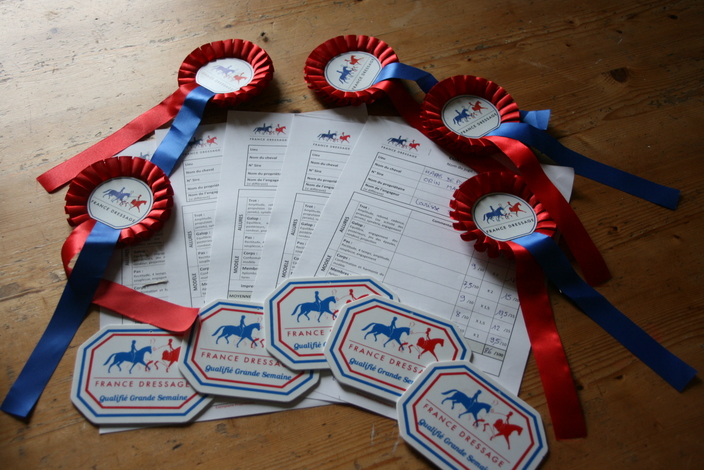 Top resultaat stamboekkeuring dressuurveulens met 86%