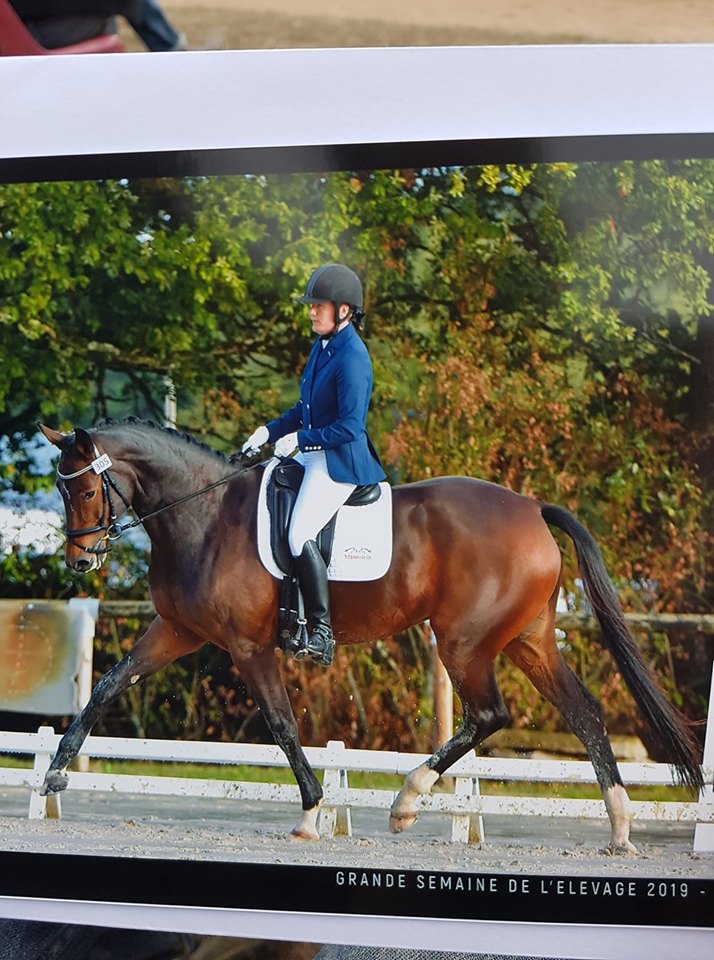 Ike Fleur Mansolein negende in TOP 100 beste dressuurpaarden Frankrijk