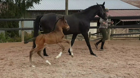 Olize Mansolein devient maman pour la première fois