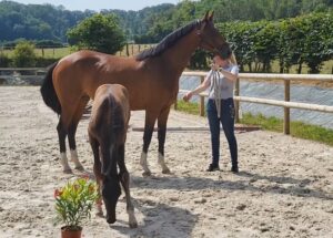 04 Juli 2024: Lolalieny B Elite verklaard in Frankrijk