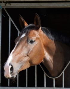 Novanna Mansolein sixième aux Championnats de France