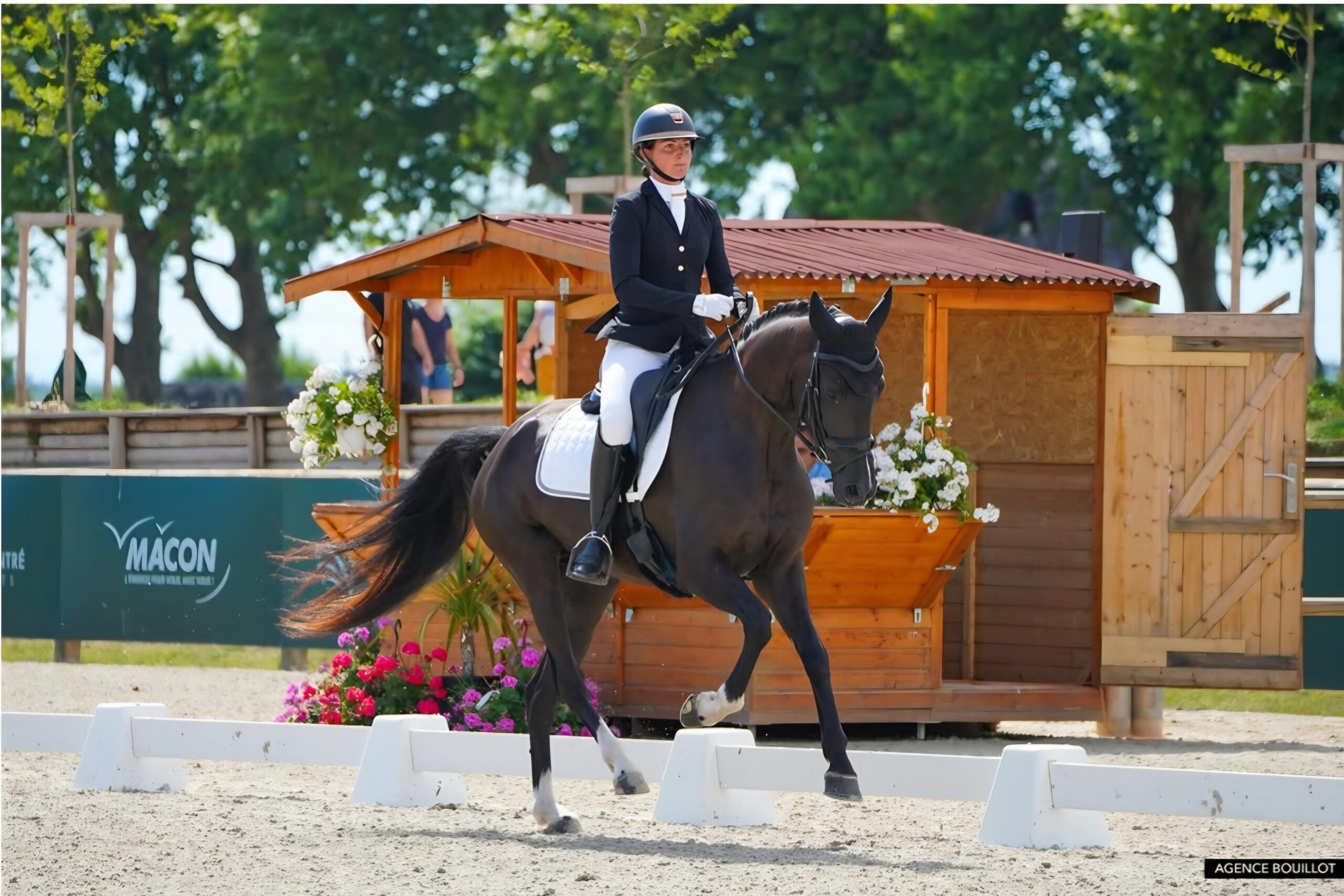 Sportresultaten Mansolein paarden Juni