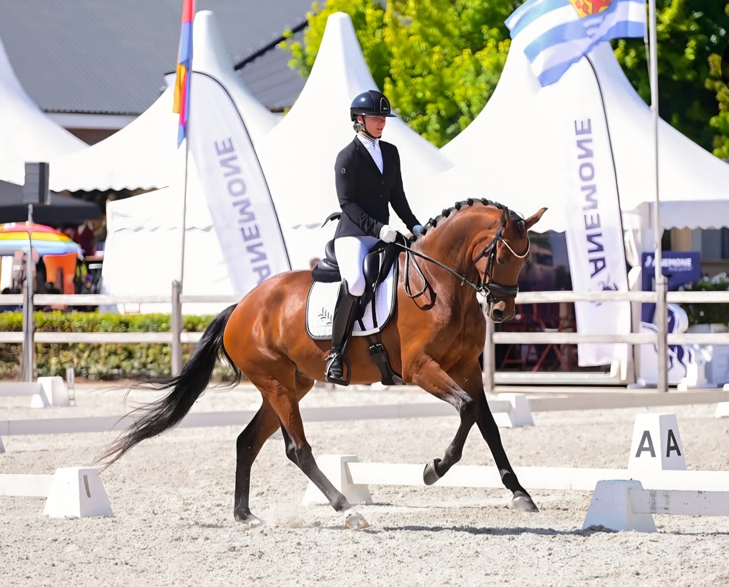 Sportresultaten Mansolein paarden Juli